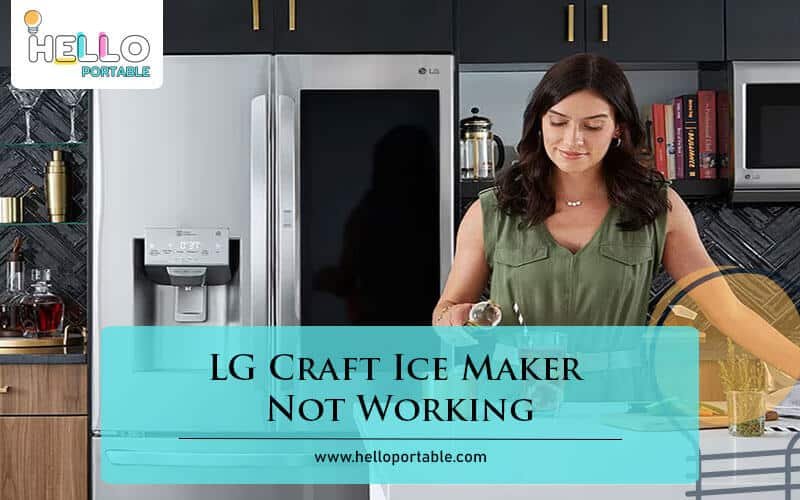 LG Craft Ice Maker Not Working-Fi