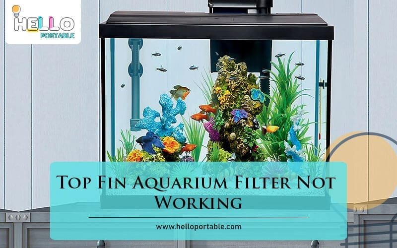 Top Fin Aquarium Filter Not Working-Fi